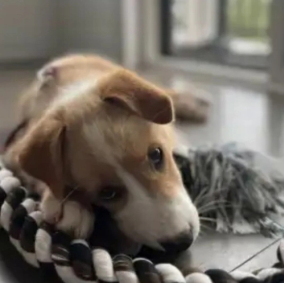 Meet your Posher - Picture 2 of 2